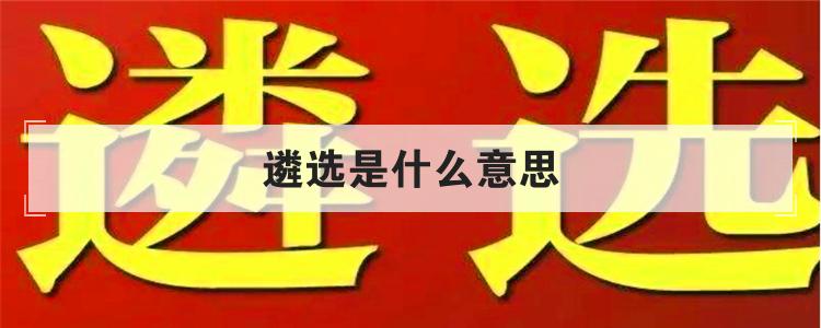 遴选是什么意思