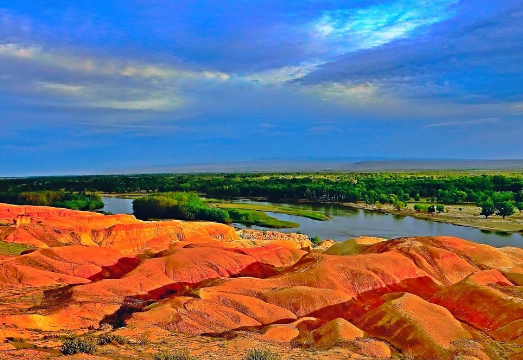 中国最大的省级单位是