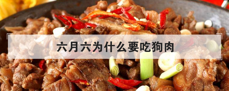 六月六为什么要吃狗肉
