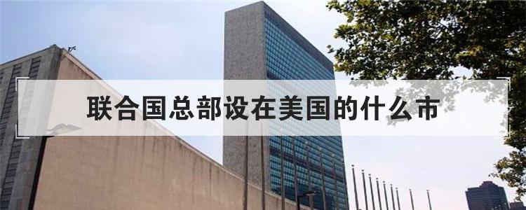 联合国总部设在美国的什么市