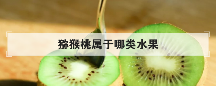 猕猴桃属于哪类水果