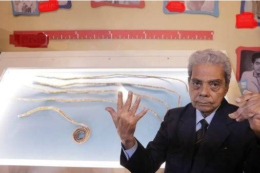 世界上最长的指甲