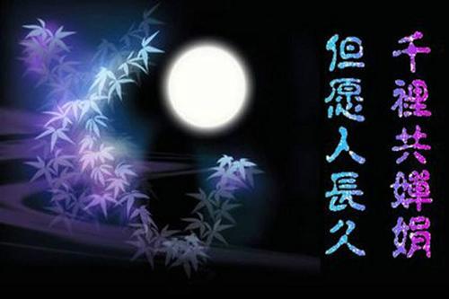 千里共婵娟什么意思