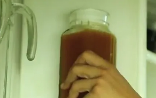 如何自己酿造苹果酒