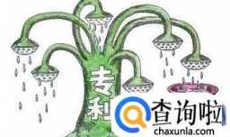 外观专利的有效期是多长时间？