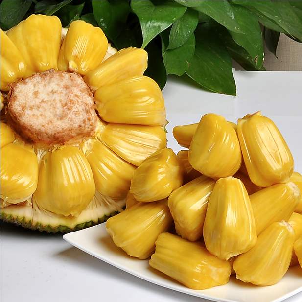 怎么剥菠萝蜜不粘手