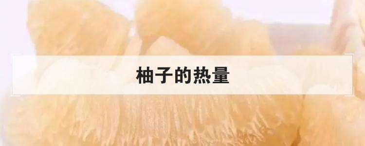 柚子的热量