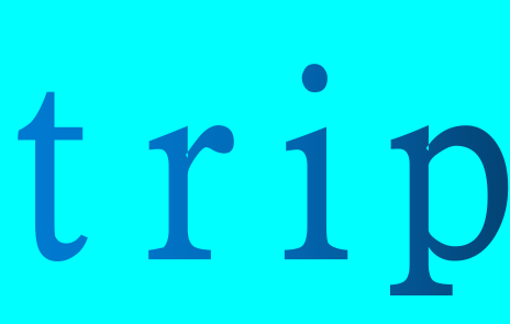 trip什么意思