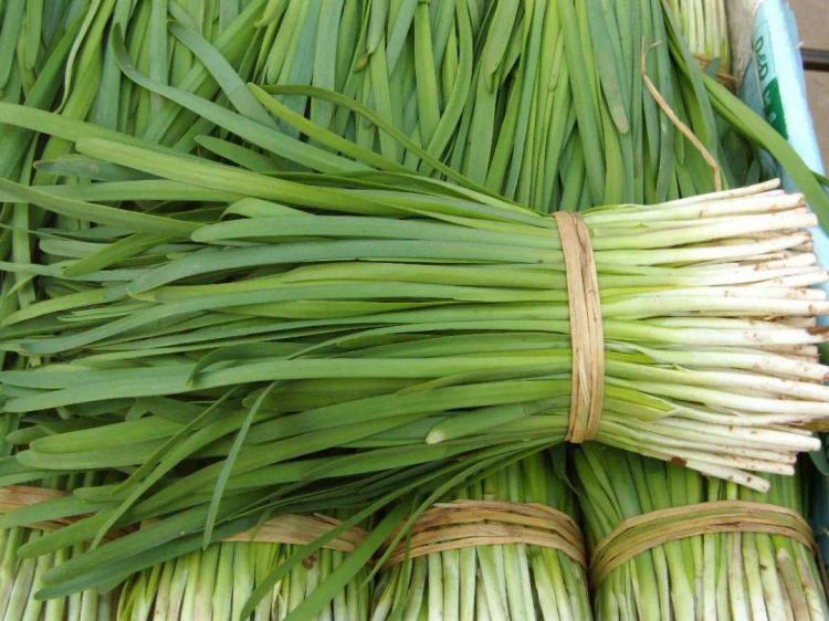 割韭菜是什么梗