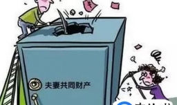 什么夫妻共同财产