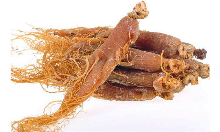 女人吃红参的好处
