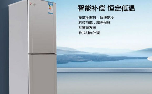 冰箱排名前十的品牌有哪些	
