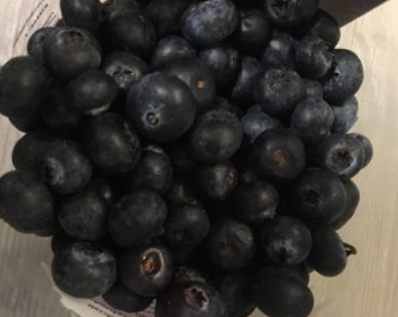 蛋糕的做法