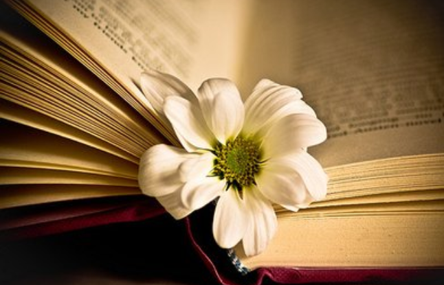 脑筋急转弯大全