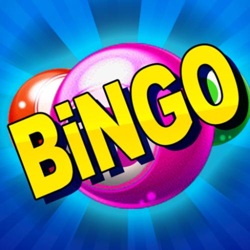 bingo什么意思