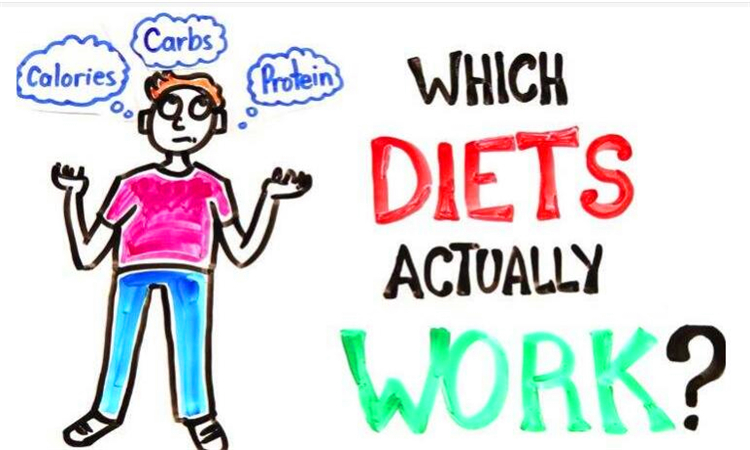 which是什么意思