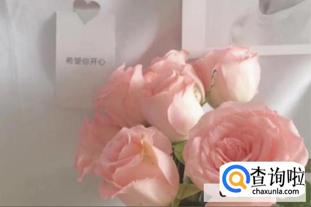 如何治愈霍先生是什么