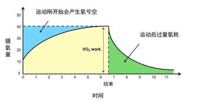 epoc是什么运动
