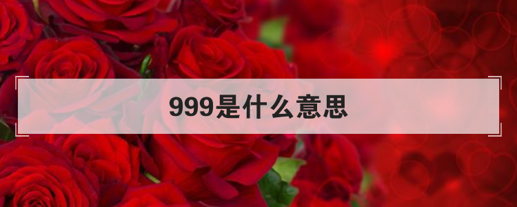 999是什么意思