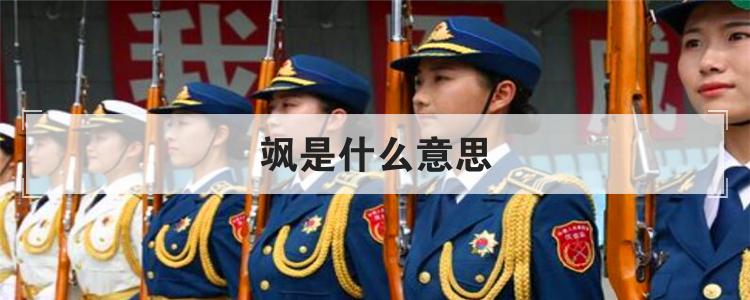飒是什么意思