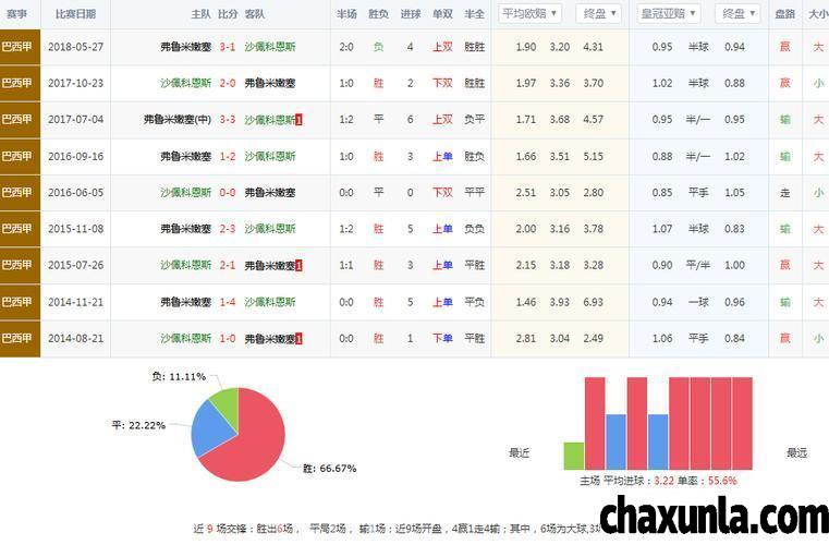 大赢家比分网
