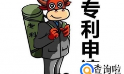 专利侵权行为有那两类？四要素是什么？
