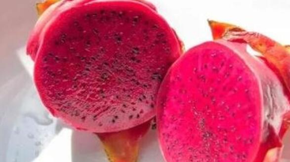 怀孕能吃火龙果吗