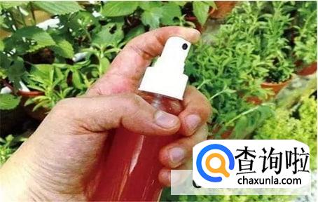 自制防狼辣椒水的方法