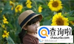 岑姓女孩名字大全