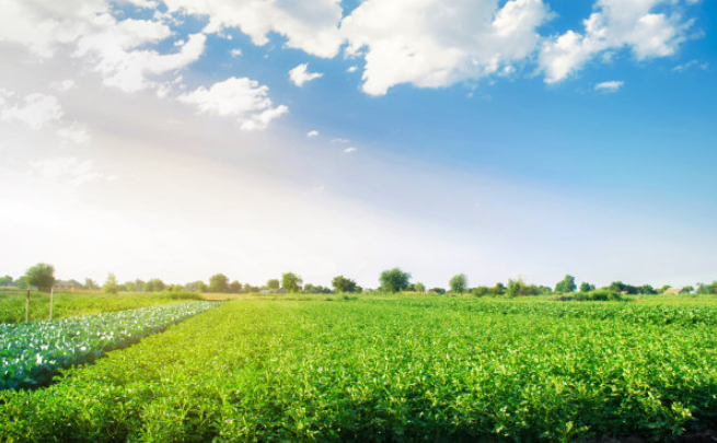 环保宣传语大全