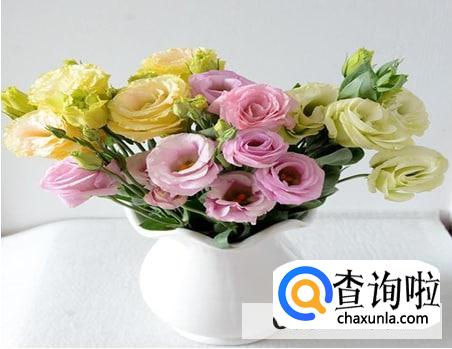 花插在花瓶里怎么延长花期的方法