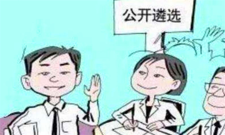 遴选是什么意思