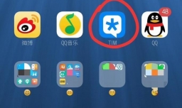 如何使用TIM？