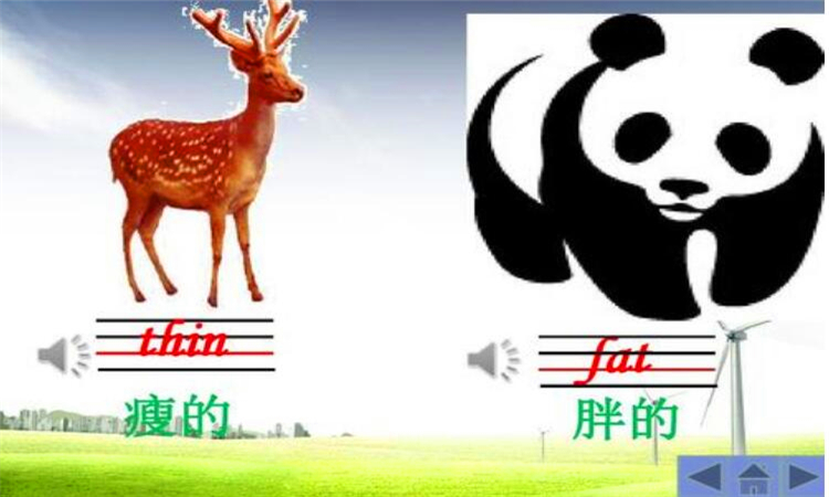 thin是什么意思