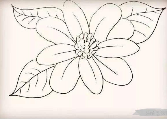 花朵简笔画