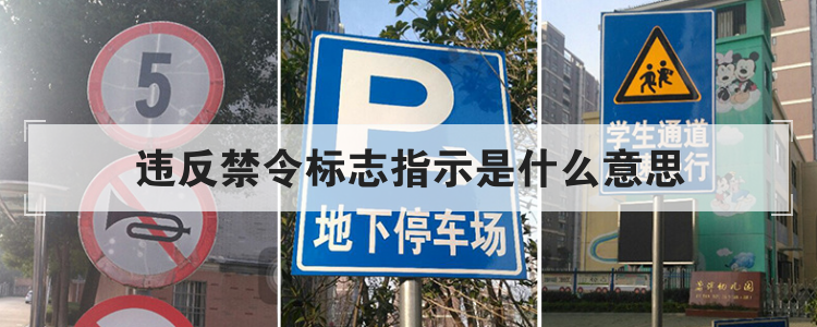 违反禁令标志指示是什么意思