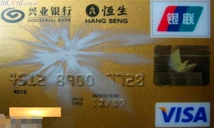 visa是什么意思