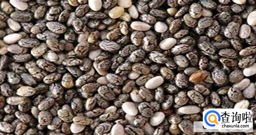 奇亚籽有哪些副作用