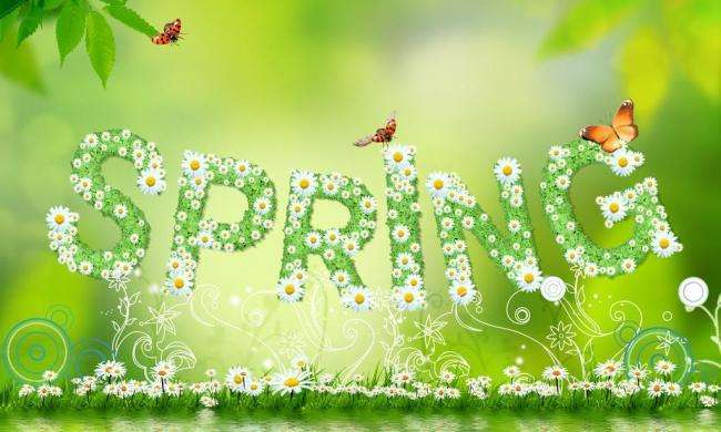 spring是什么意思