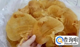 鱼胶是什么