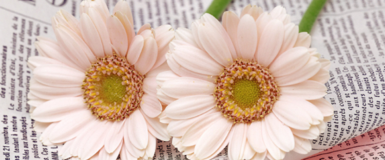 带有数字的成语有哪些