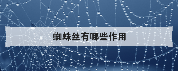 蜘蛛丝有哪些作用
