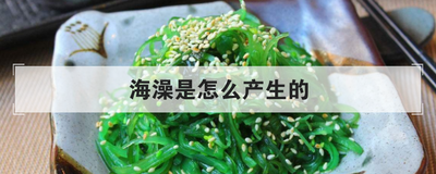 海澡是怎么产生的