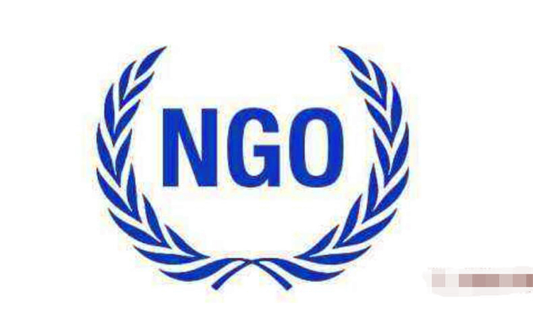 ngo是什么意思