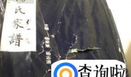 杨姓族谱