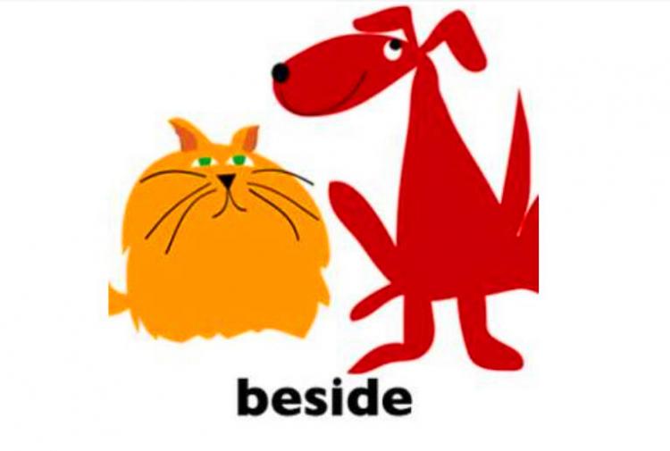 beside是什么意思