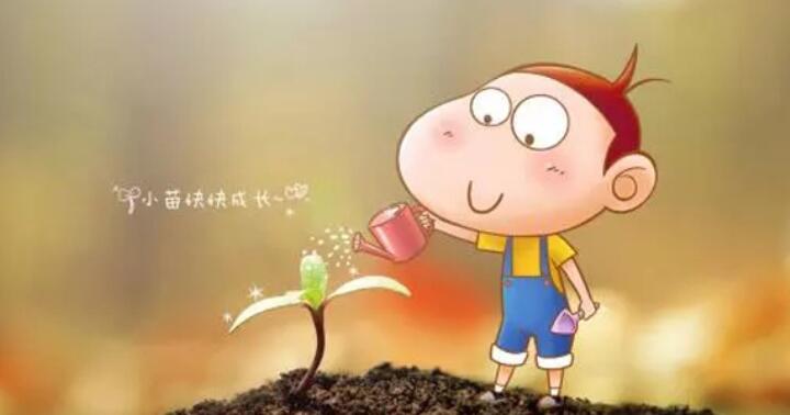 植树的好处有哪些?