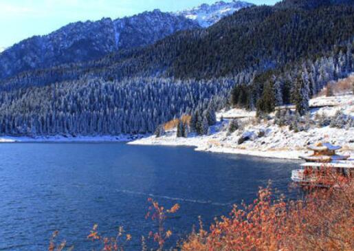 面积最大的省是哪里