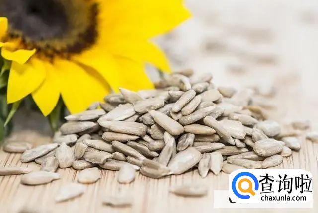 葵花籽的功效与作用br