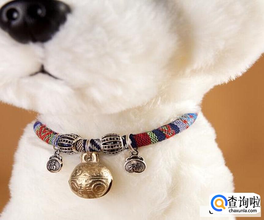 怎么让狗狗习惯戴上项圈